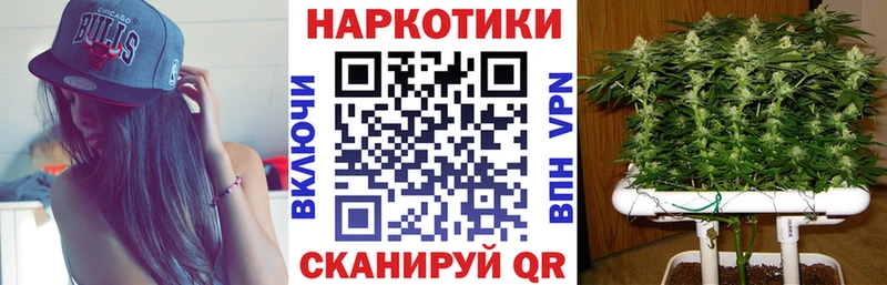 Все наркотики Курчалой Каннабис blacksprut маркетплейс Меф COCAIN