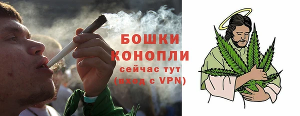 шишки Нефтекумск