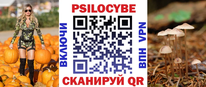 как найти закладки  Курчалой  Галлюциногенные грибы GOLDEN TEACHER 