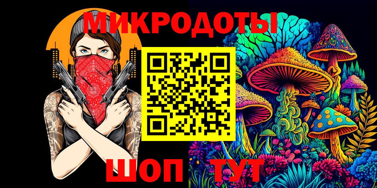 ГАШ Курчалой